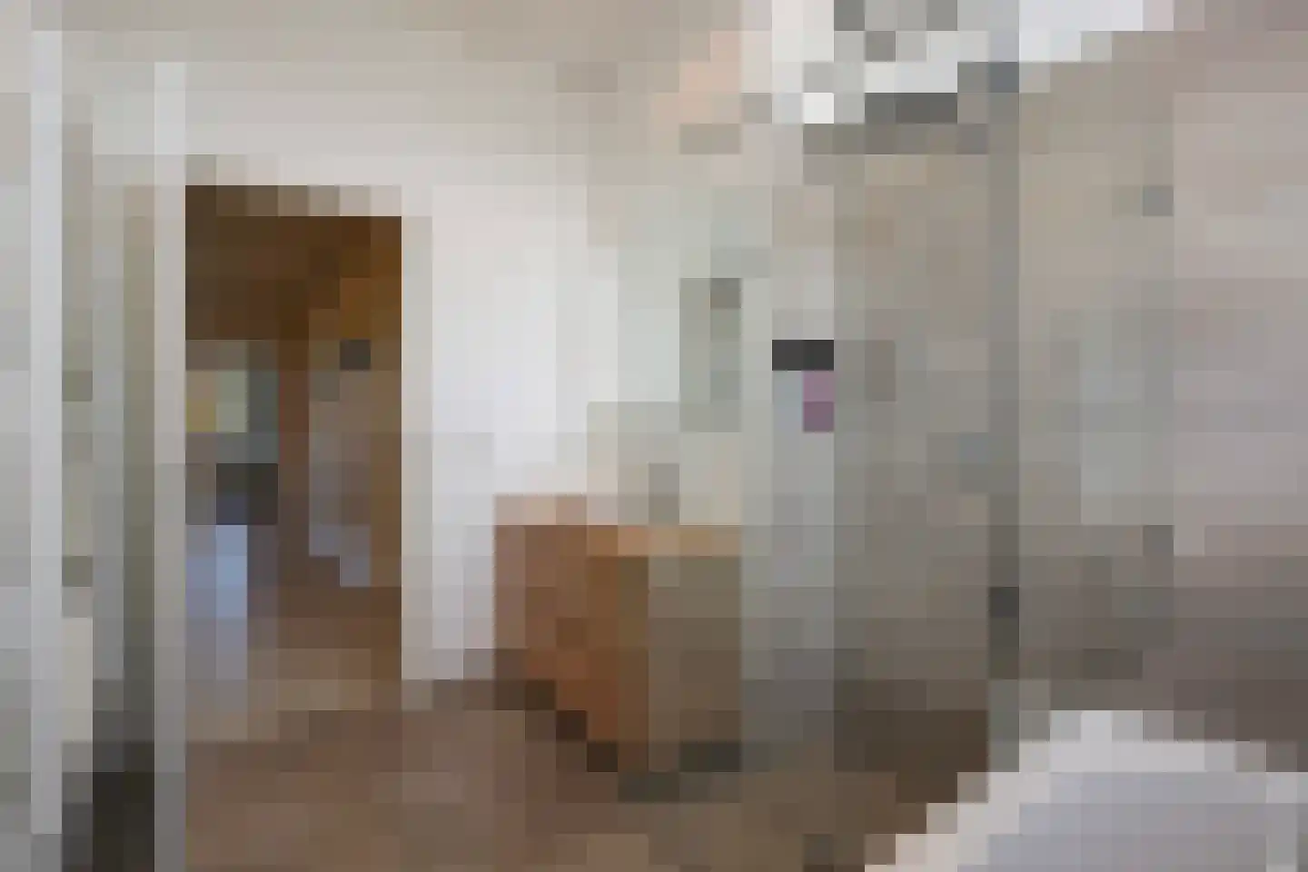Sleedoornstraat 54 Den Haag thumbnail 22