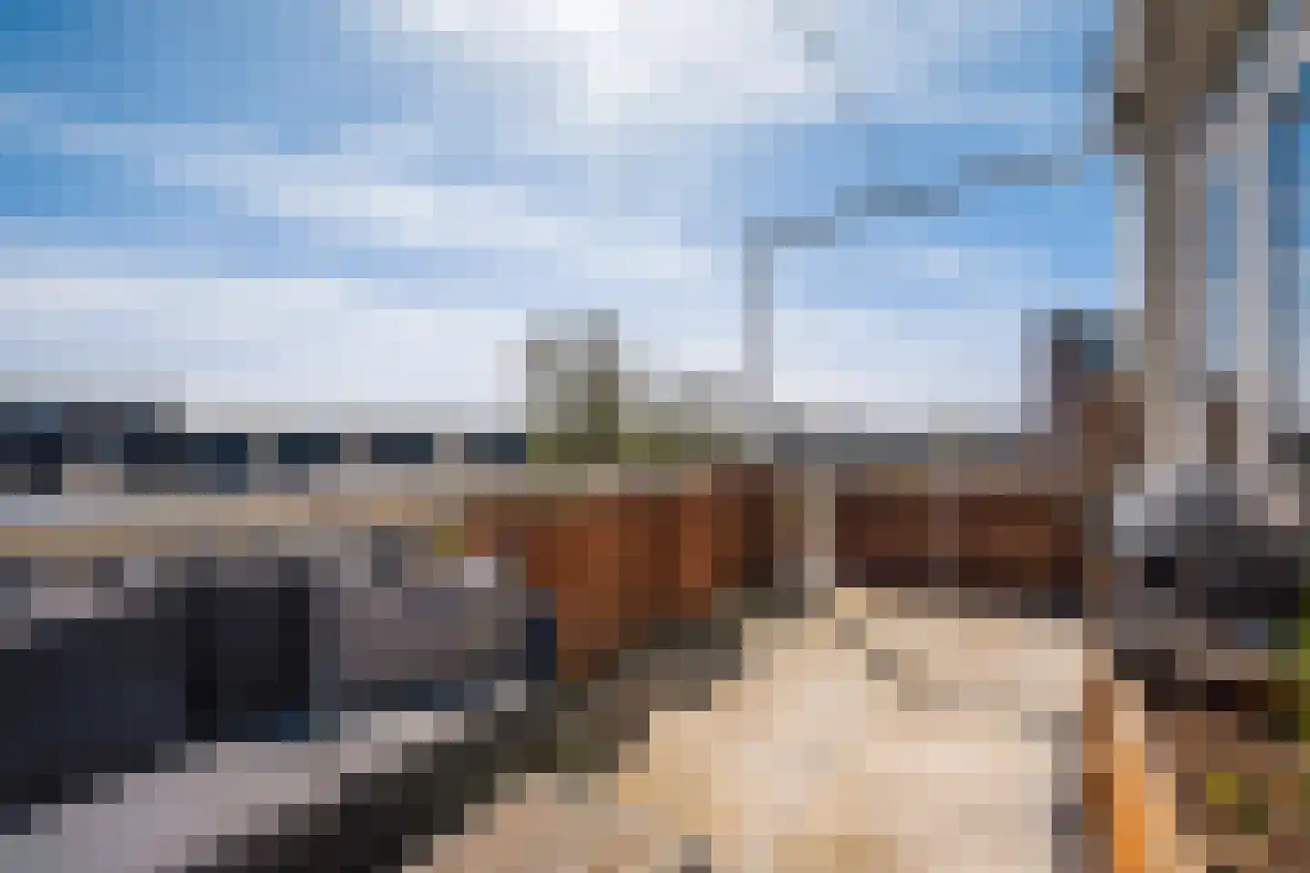 Sleedoornstraat 54 Den Haag thumbnail 4