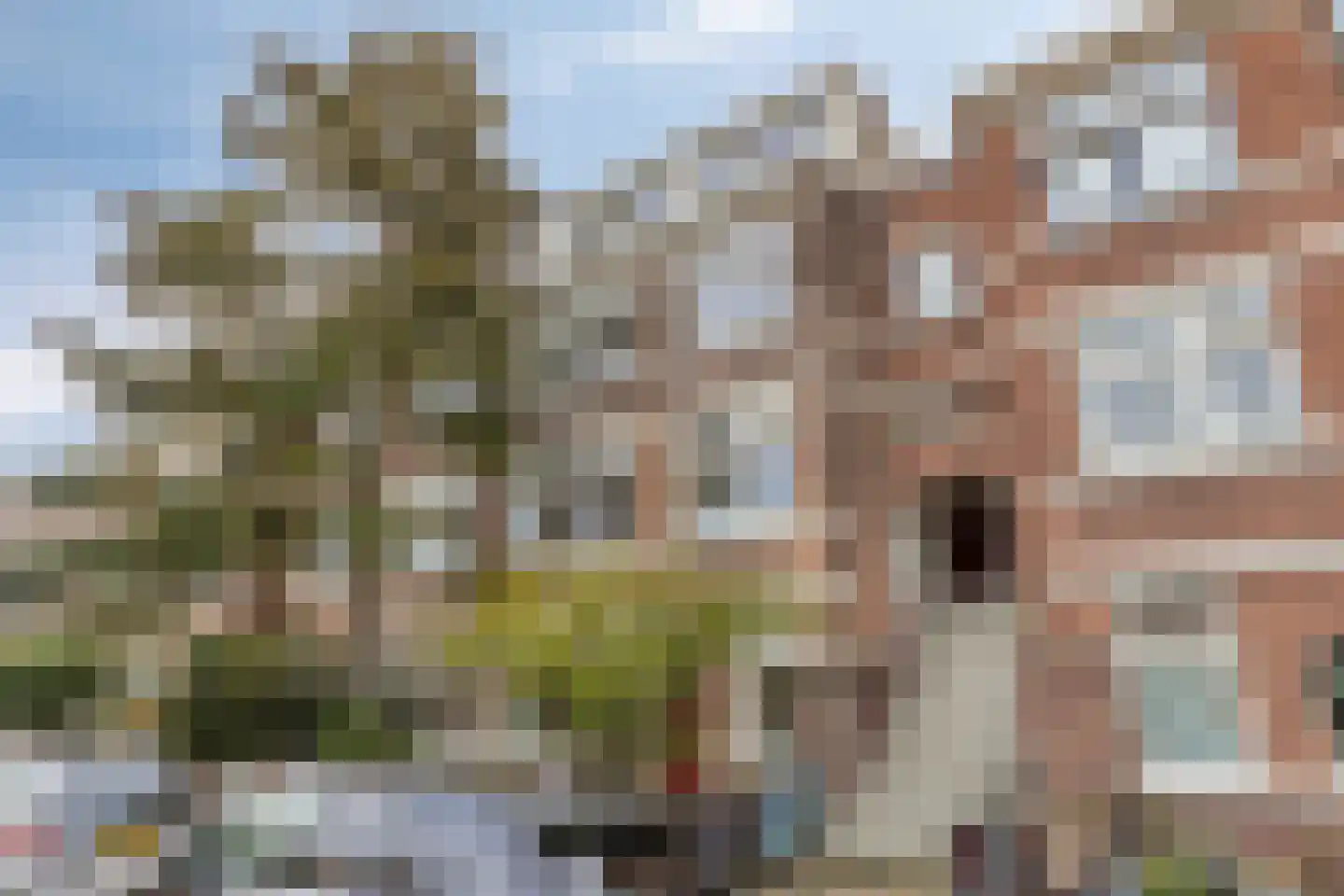 Sleedoornstraat 62 Den Haag thumbnail 29