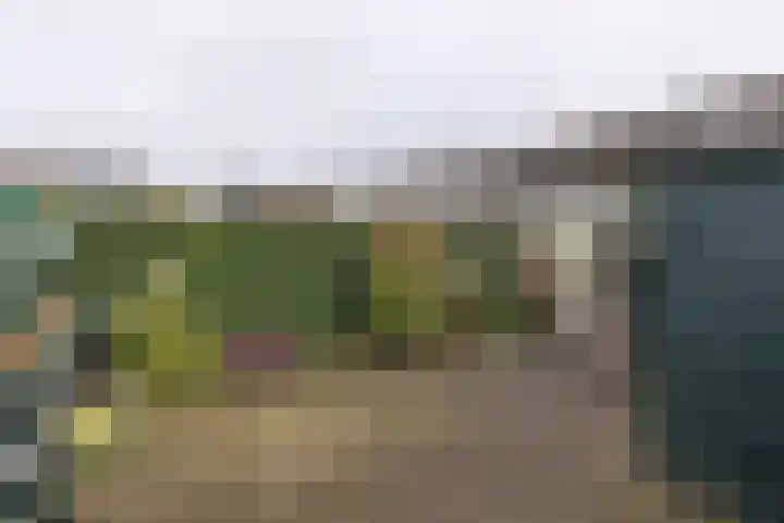 Sleedoornstraat 64 Lichtenvoorde thumbnail 39