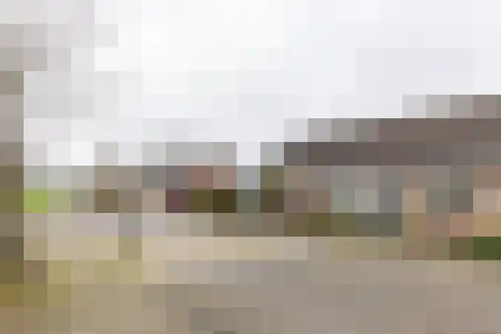 Sleedoornstraat 64 Lichtenvoorde thumbnail 4