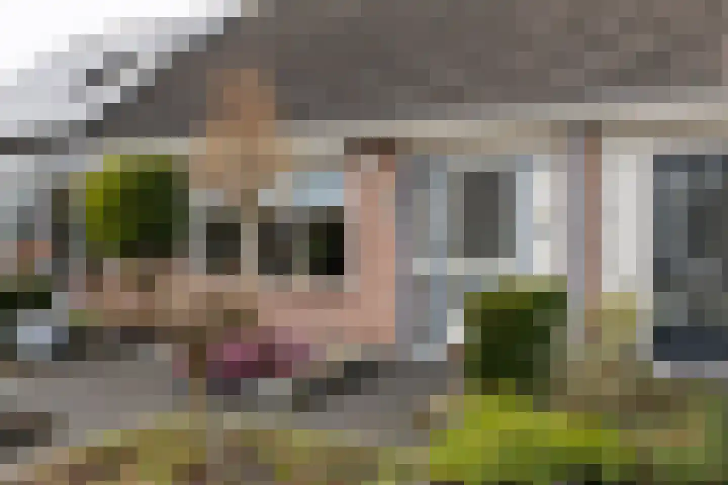 Sleedoornstraat 64 Lichtenvoorde thumbnail 55