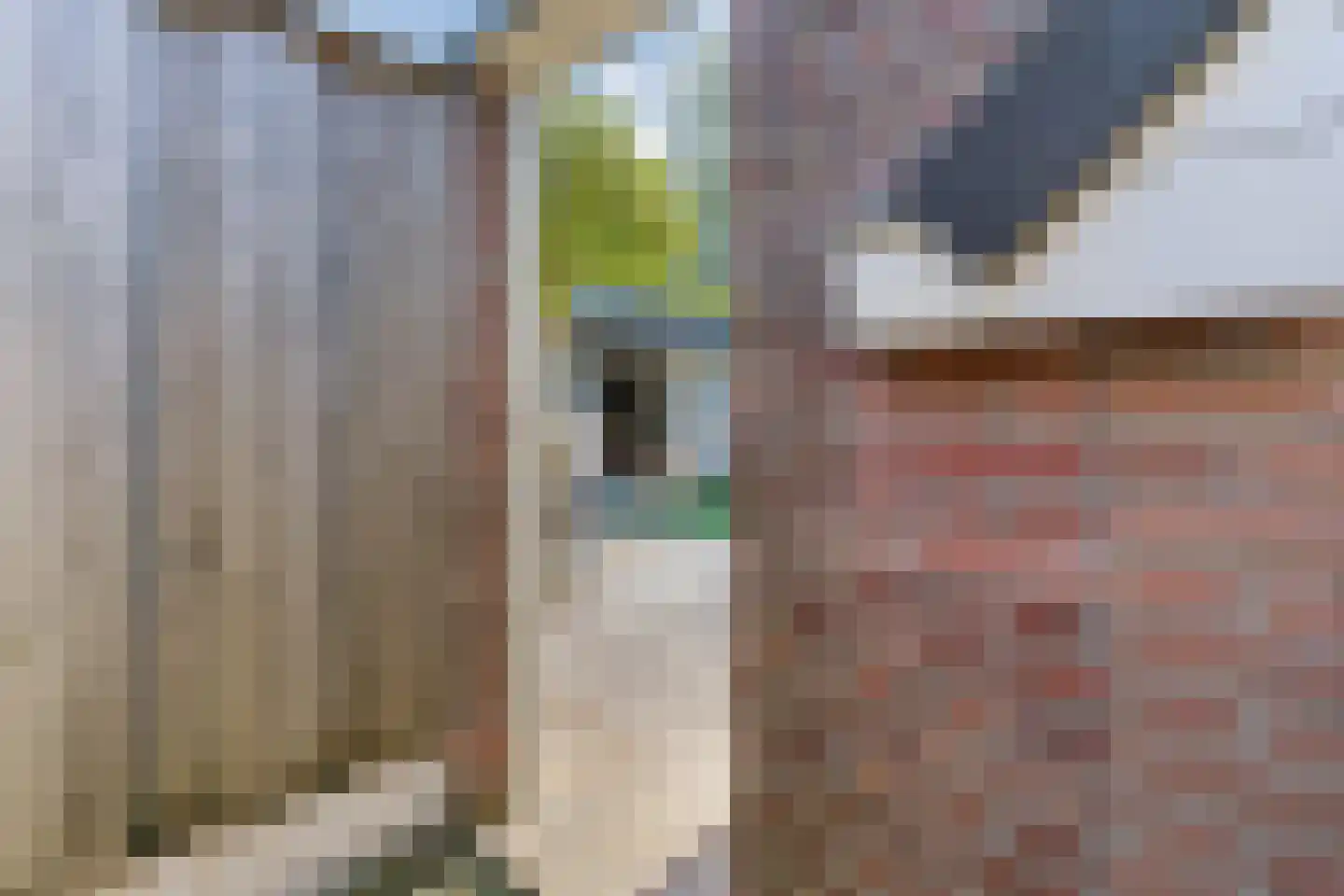 Sleedoornstraat 84 Lichtenvoorde thumbnail 53