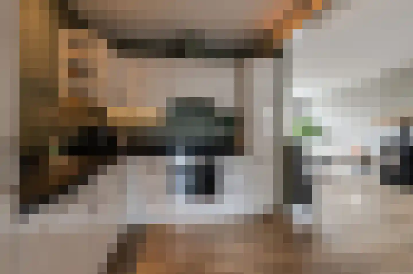 Sleedoornstraat 9 Geldermalsen thumbnail 12