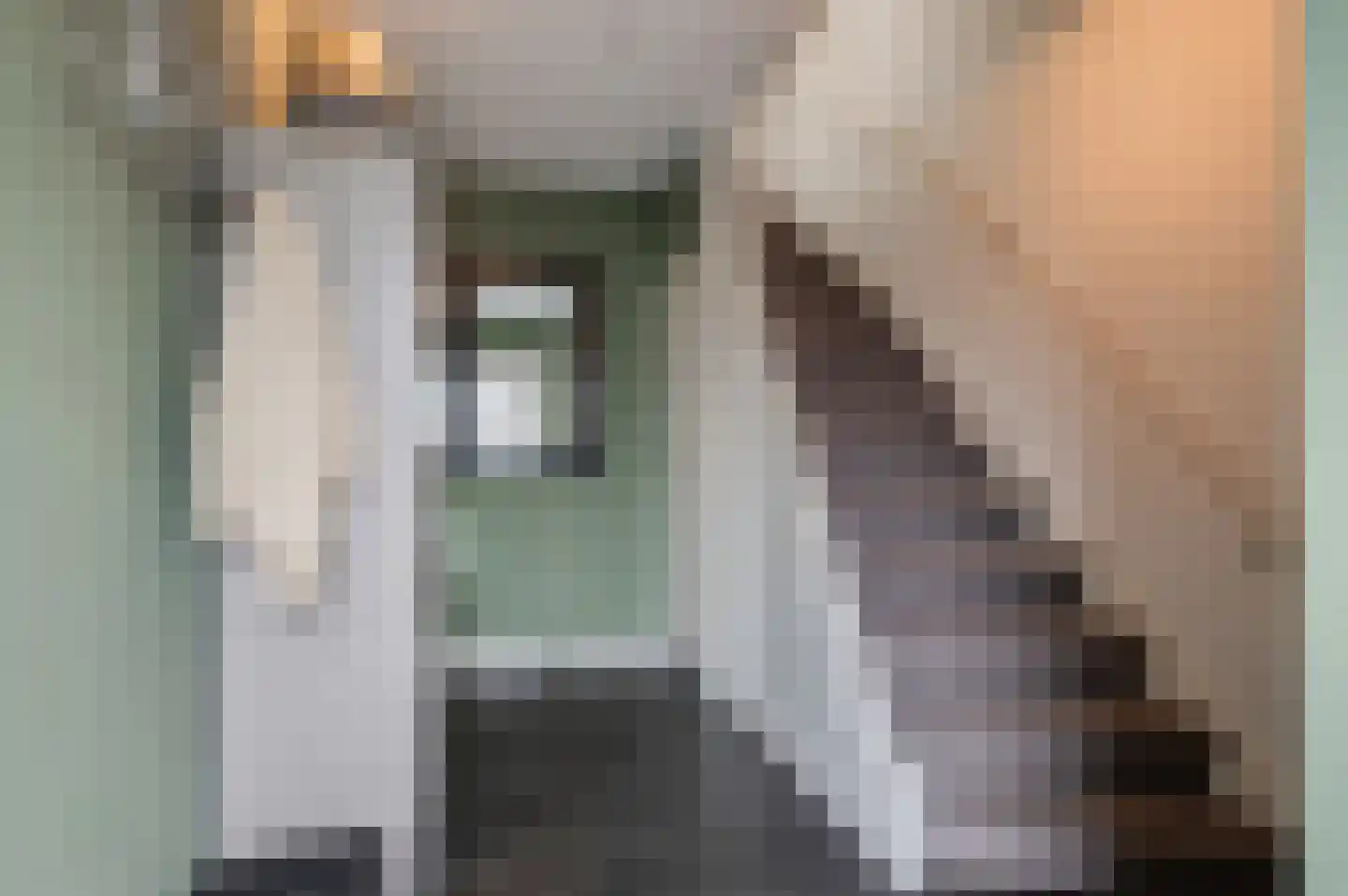 Sleedoornstraat 9 Geldermalsen thumbnail 14