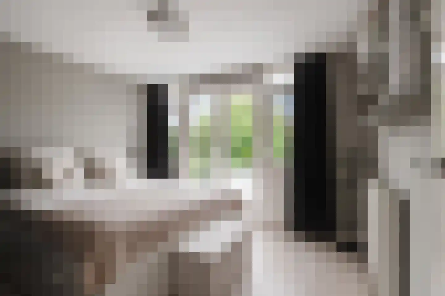 Sleedoornstraat 9 Geldermalsen thumbnail 15
