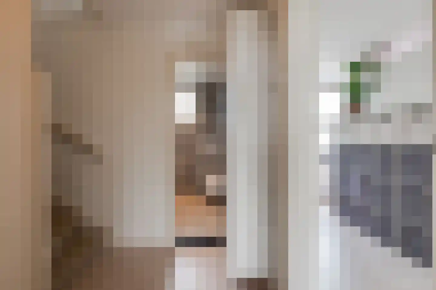 Sleedoornstraat 9 Geldermalsen thumbnail 18