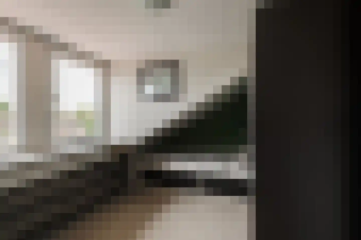 Sleedoornstraat 9 Geldermalsen thumbnail 31