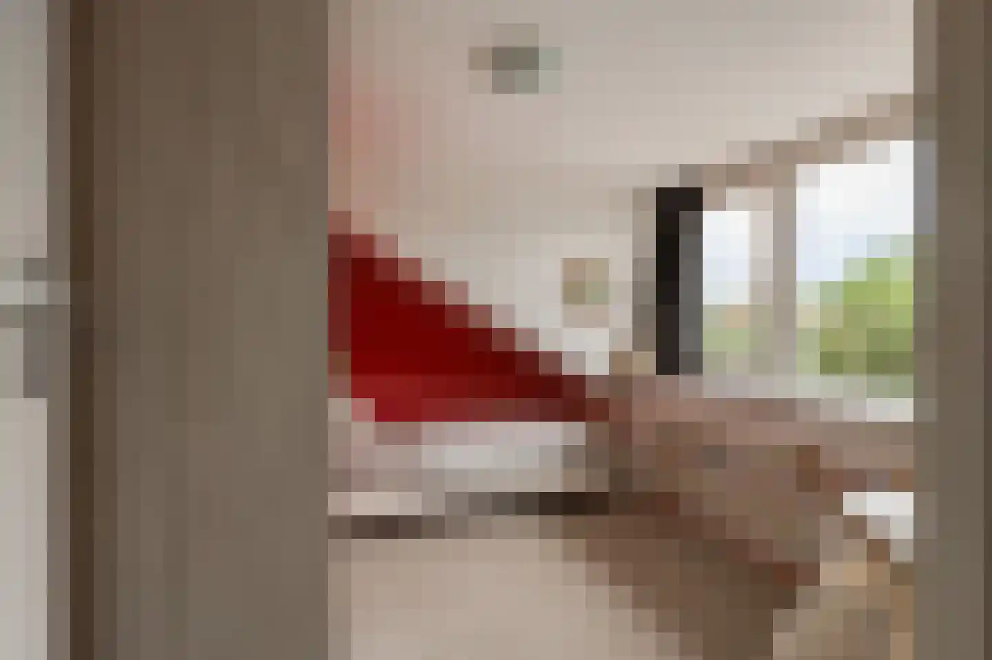 Sleedoornstraat 9 Geldermalsen thumbnail 32