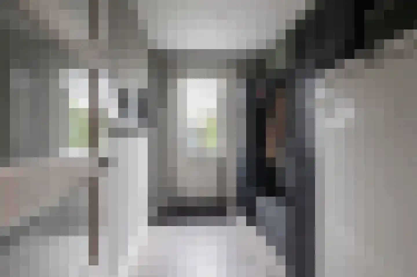 Sleedoornstraat 9 Geldermalsen thumbnail 34