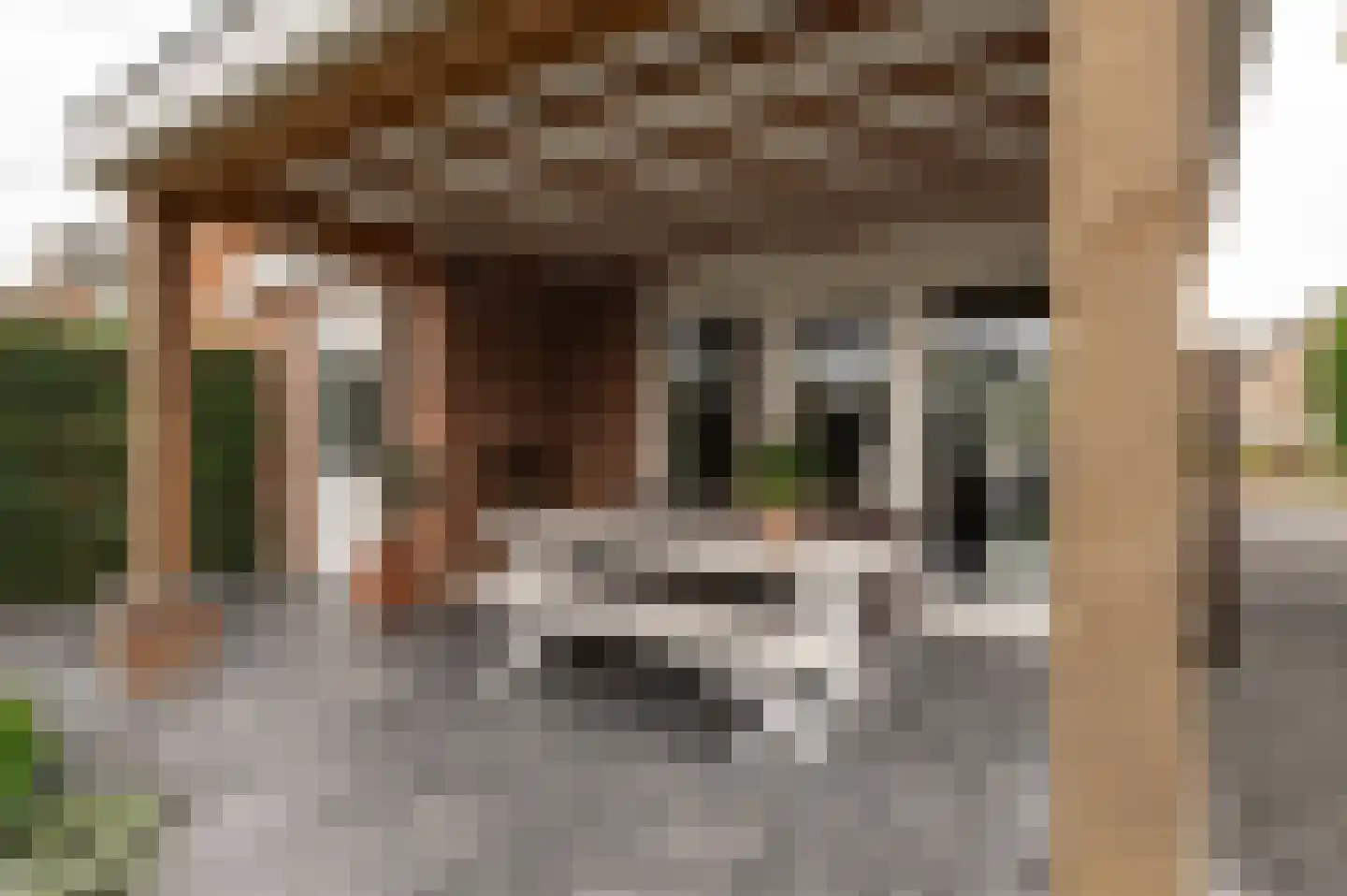 Sleedoornstraat 9 Geldermalsen thumbnail 35