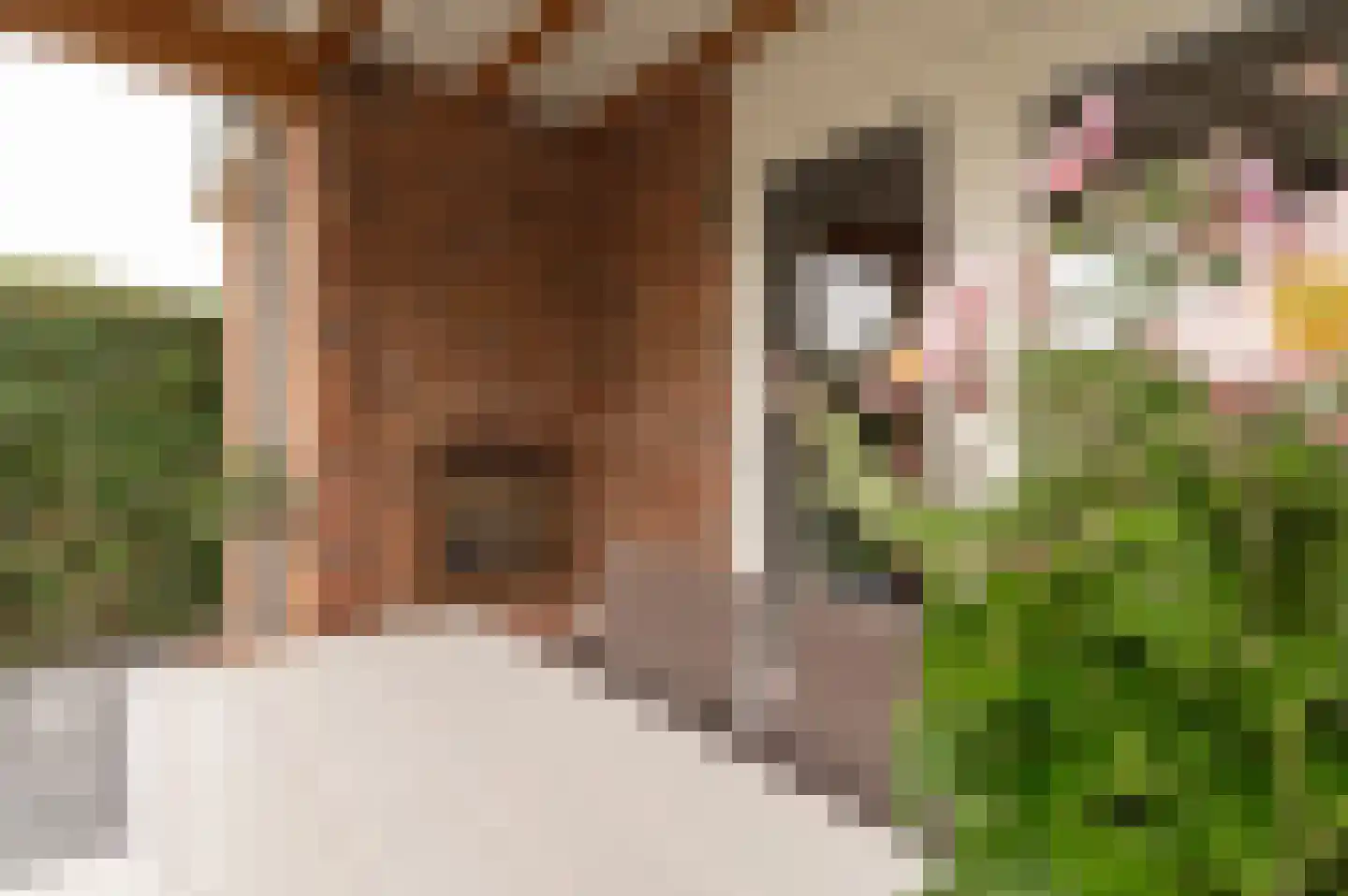 Sleedoornstraat 9 Geldermalsen thumbnail 36