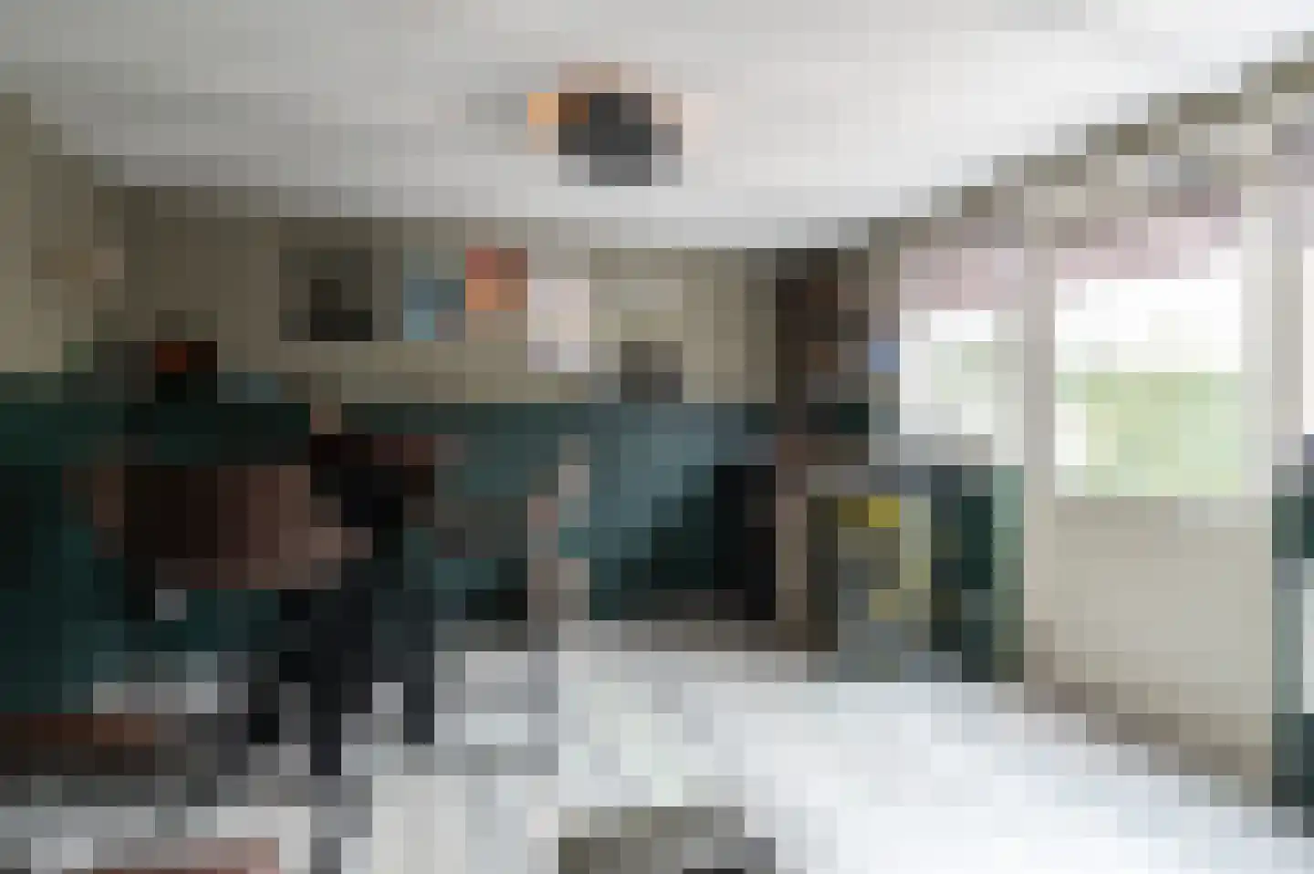 Sleedoornstraat 9 Geldermalsen thumbnail 40