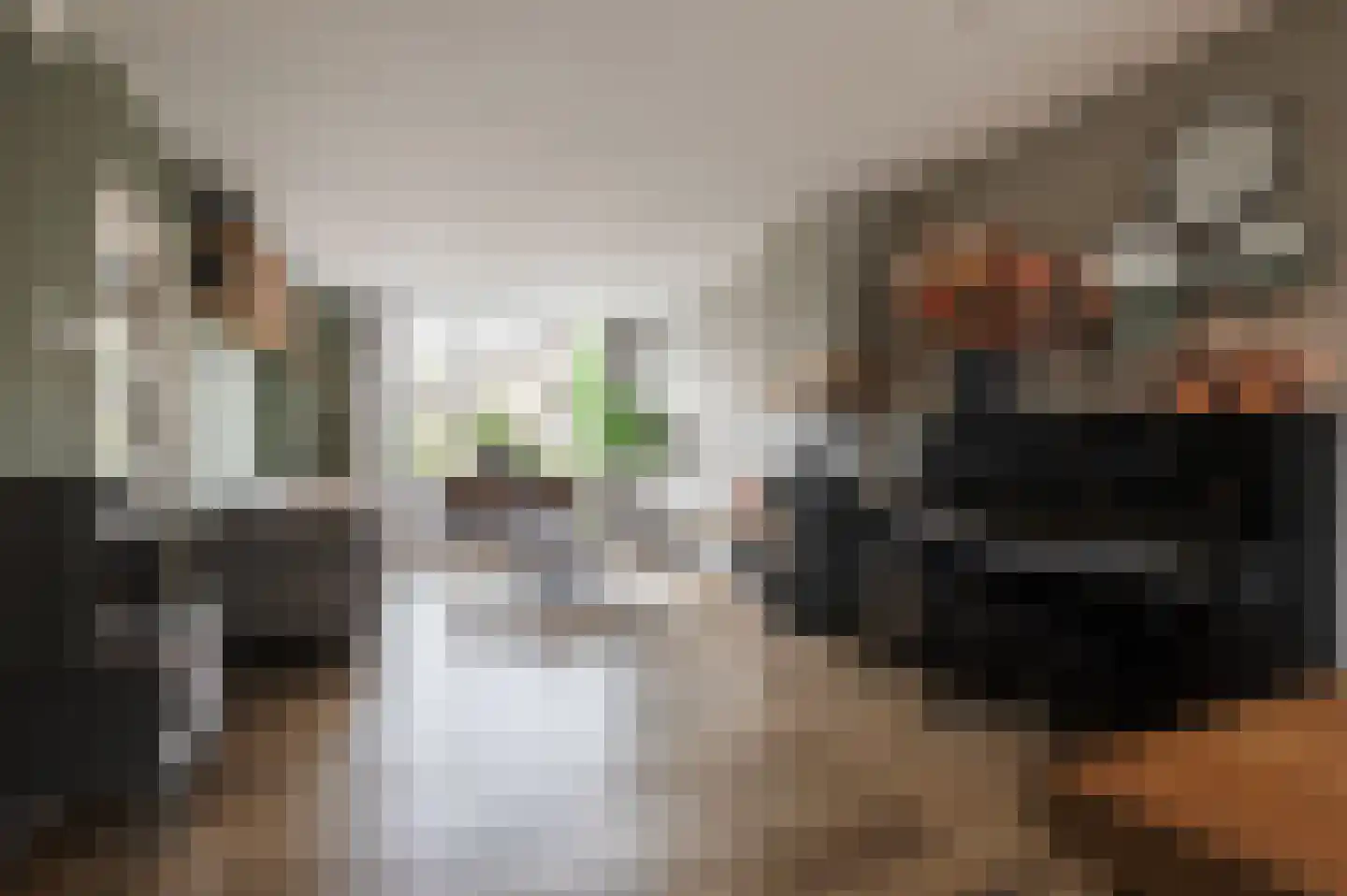 Sleedoornstraat 9 Geldermalsen thumbnail 5