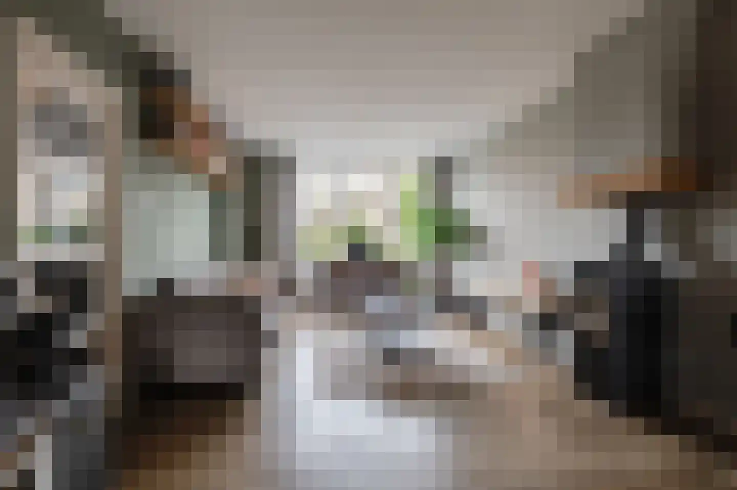 Sleedoornstraat 9 Geldermalsen thumbnail 6