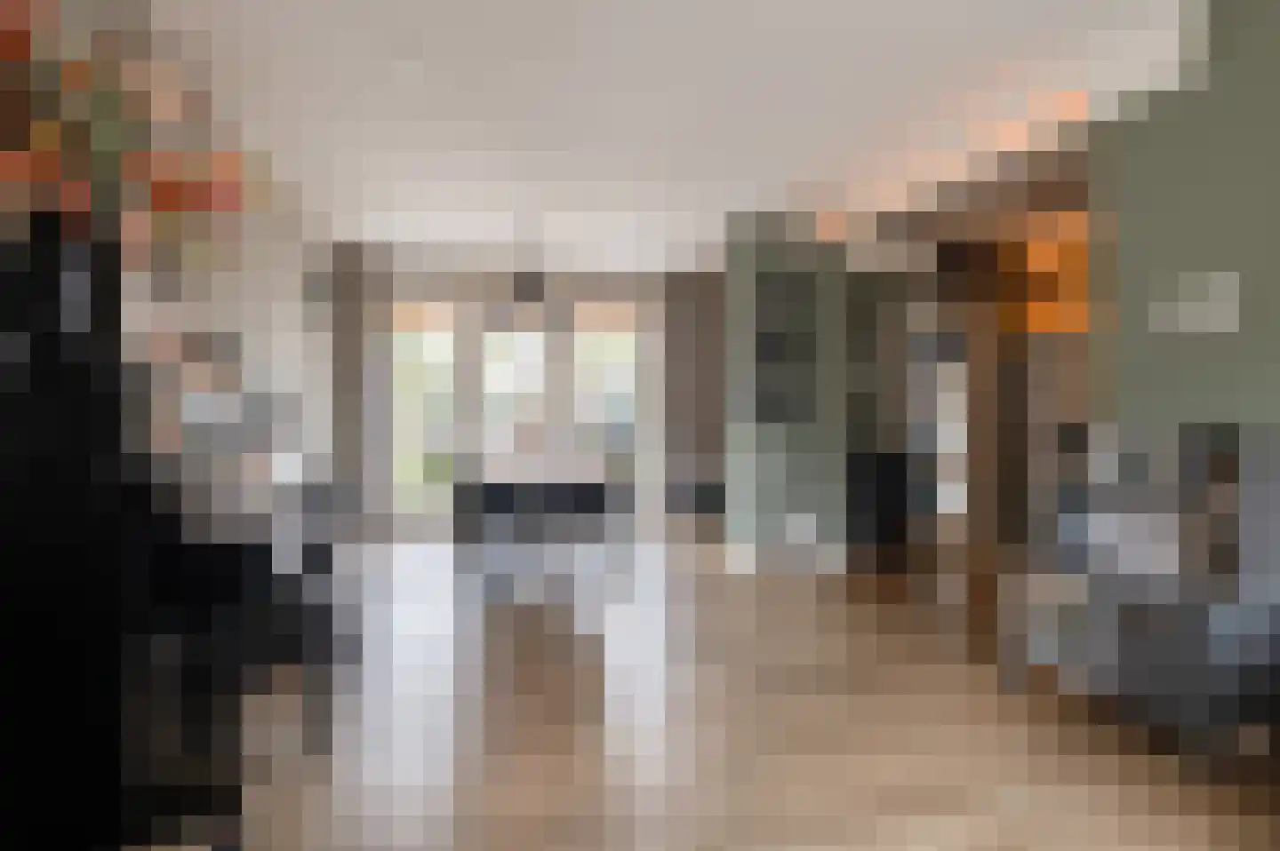 Sleedoornstraat 9 Geldermalsen thumbnail 8