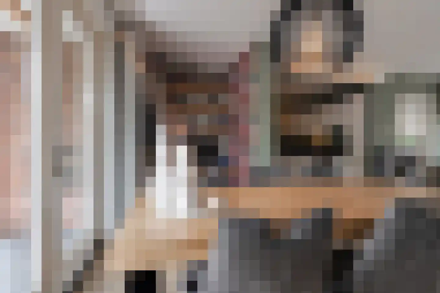 Sleedoornstraat 9 Geldermalsen thumbnail 9