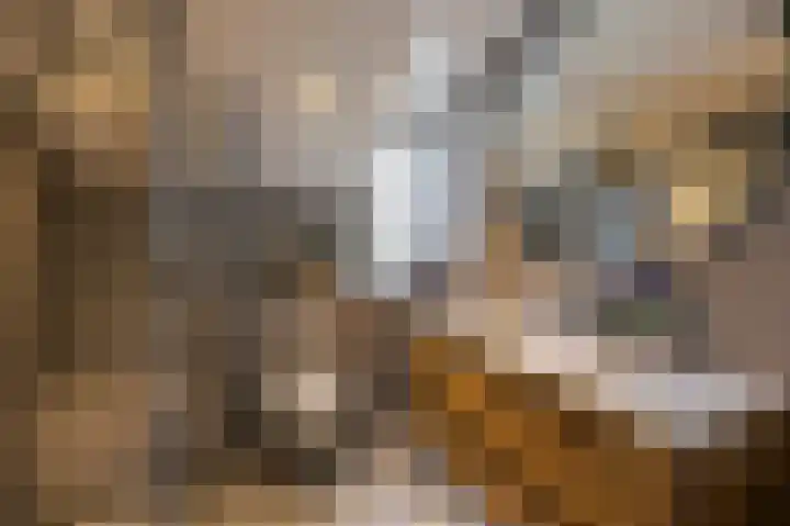 Sleedoornstraat 93 Echt thumbnail 19