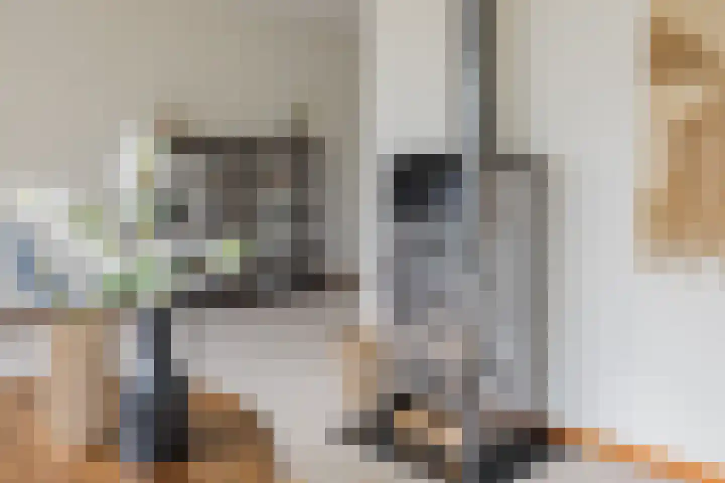 Sleedoornweg 14 Haarlem thumbnail 18