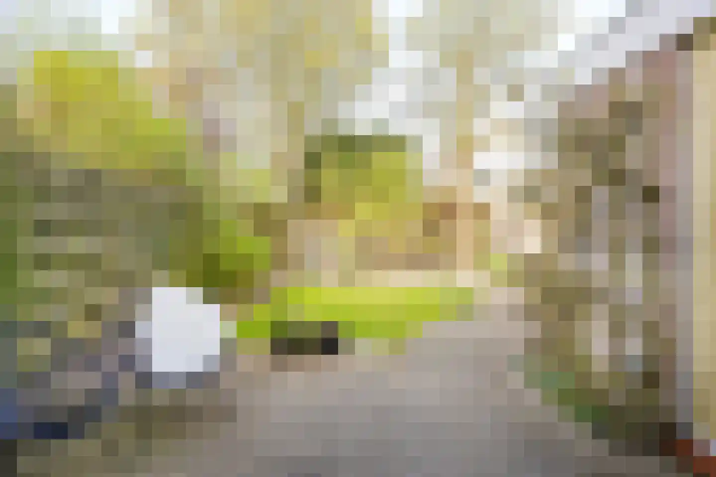 Sleedoornweg 14 Haarlem thumbnail 26