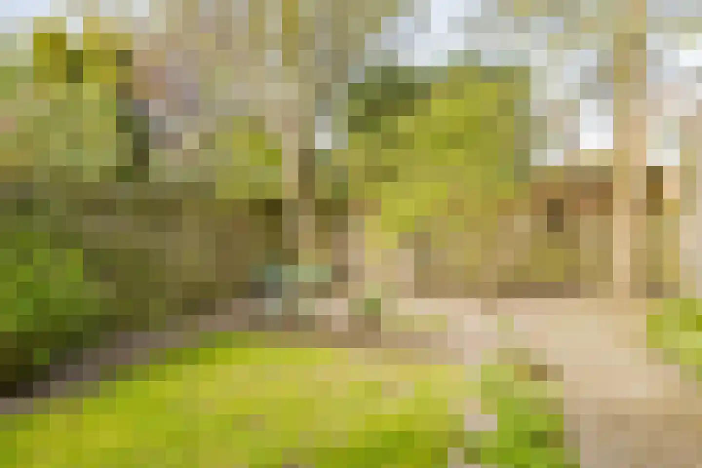 Sleedoornweg 14 Haarlem thumbnail 27