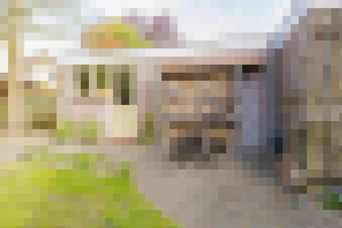 Sleedoornweg 14 Haarlem thumbnail 28