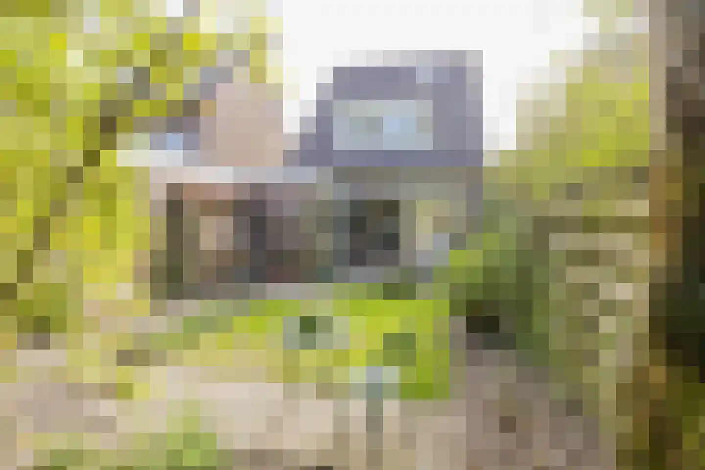 Sleedoornweg 14 Haarlem thumbnail 30