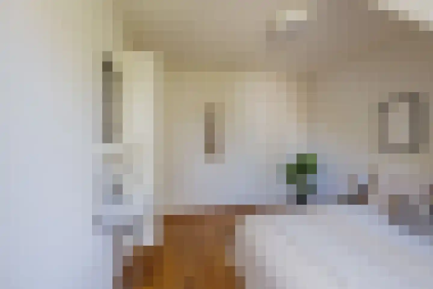 Sleedoornweg 14 Haarlem thumbnail 48