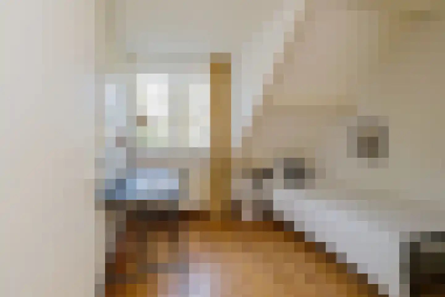 Sleedoornweg 14 Haarlem thumbnail 51