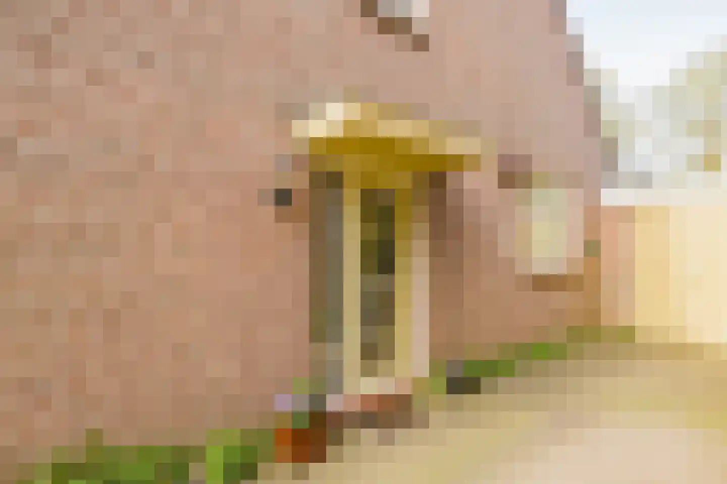 Sleedoornweg 14 Haarlem thumbnail 6