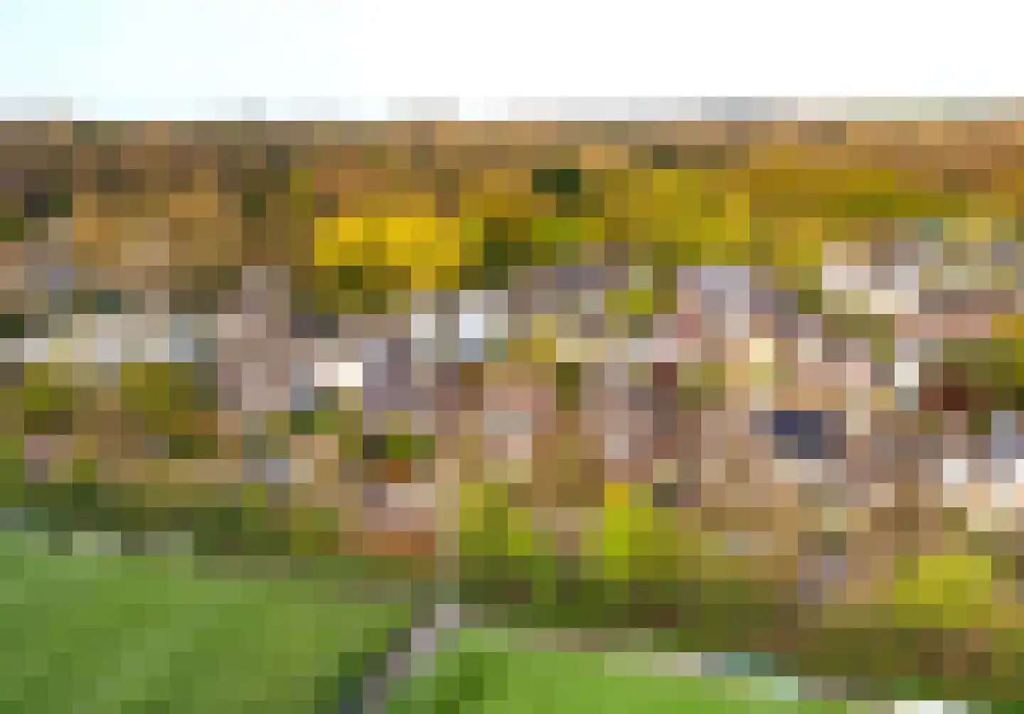 Sleedoornweg 14 Haarlem thumbnail 60