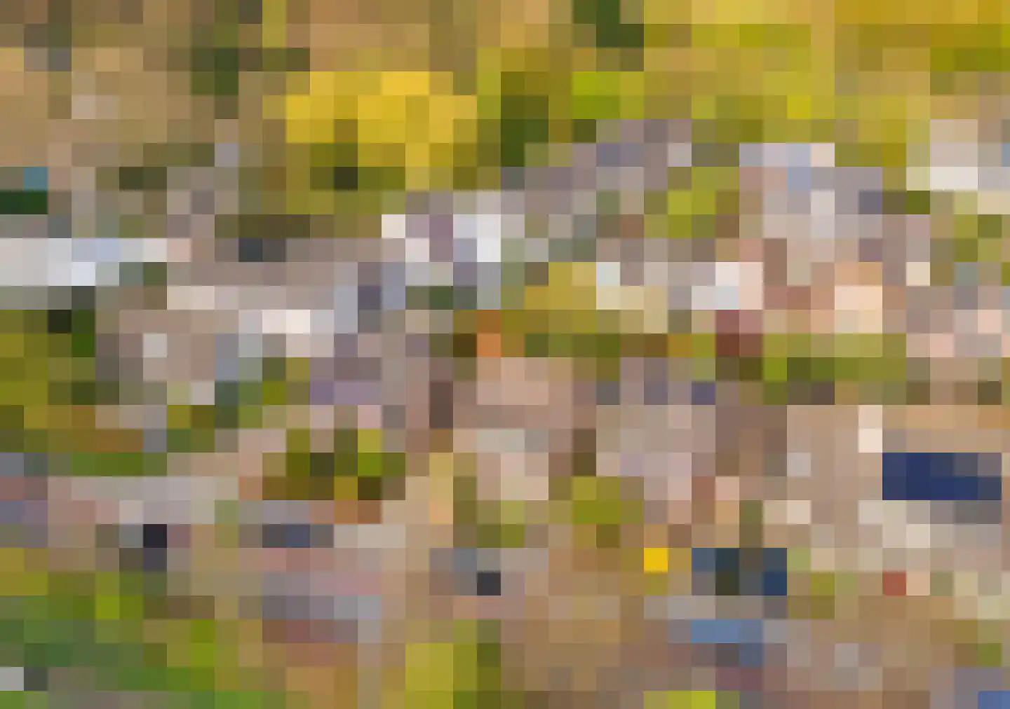 Sleedoornweg 14 Haarlem thumbnail 61