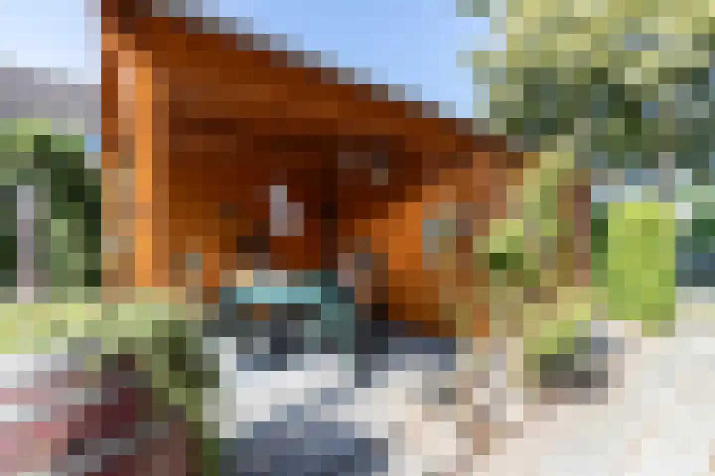Sleedoornweg 157 Winschoten thumbnail 4