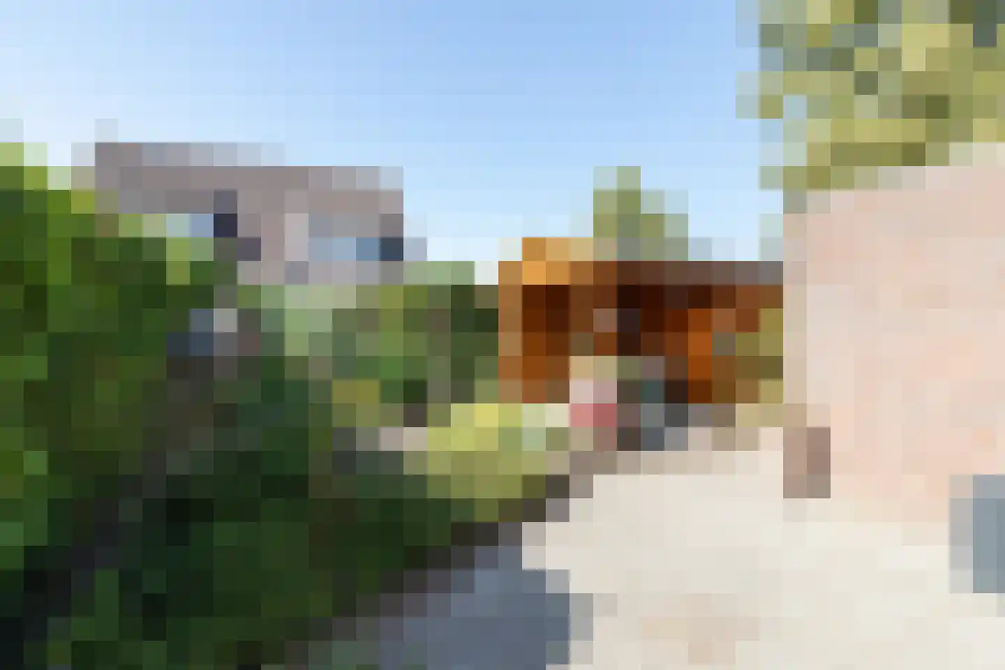 Sleedoornweg 157 Winschoten thumbnail 40