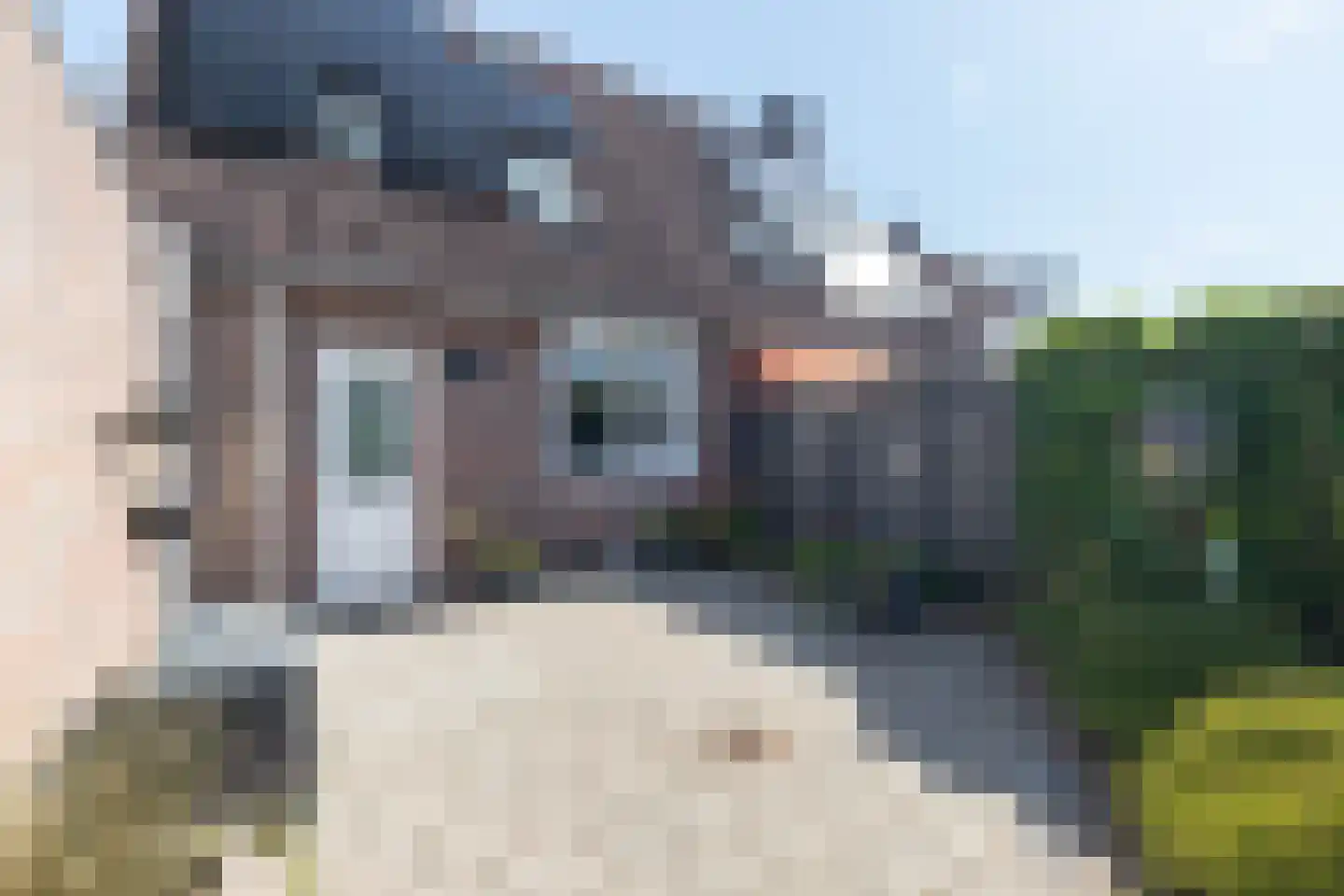 Sleedoornweg 157 Winschoten thumbnail 41