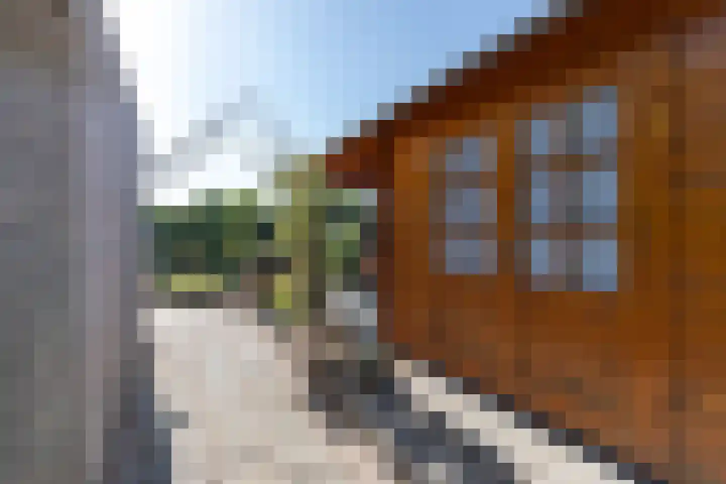 Sleedoornweg 157 Winschoten thumbnail 45