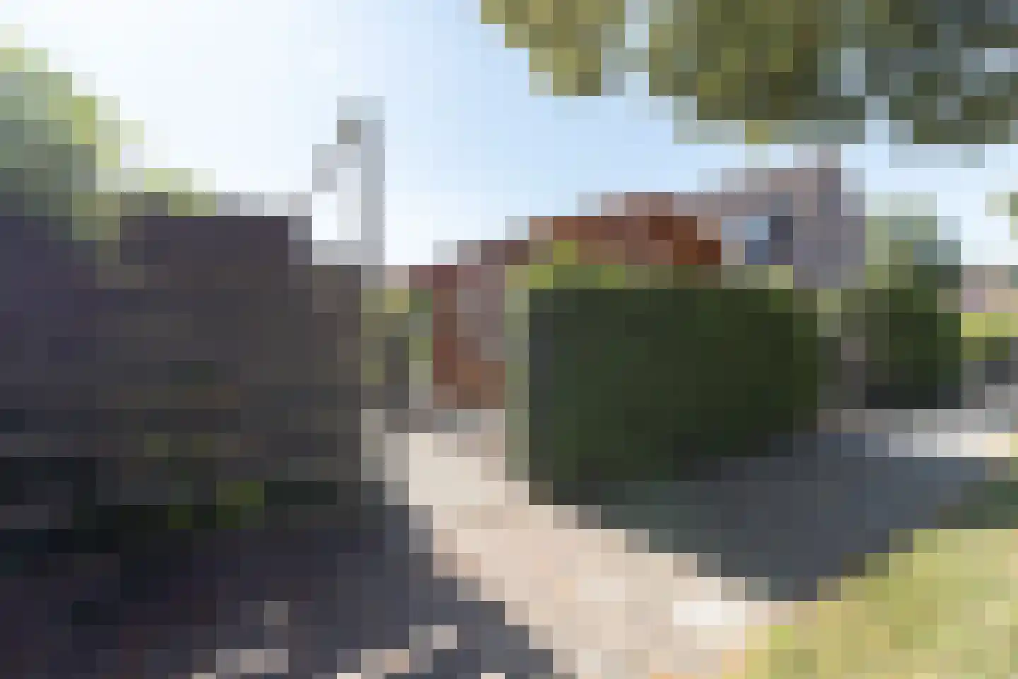 Sleedoornweg 157 Winschoten thumbnail 46