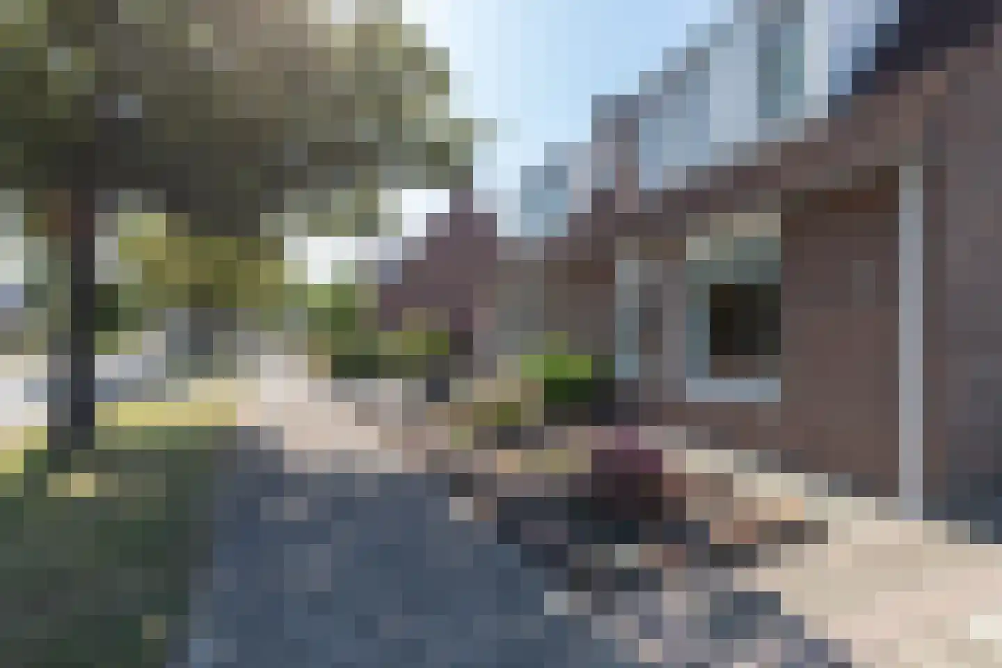 Sleedoornweg 157 Winschoten thumbnail 48