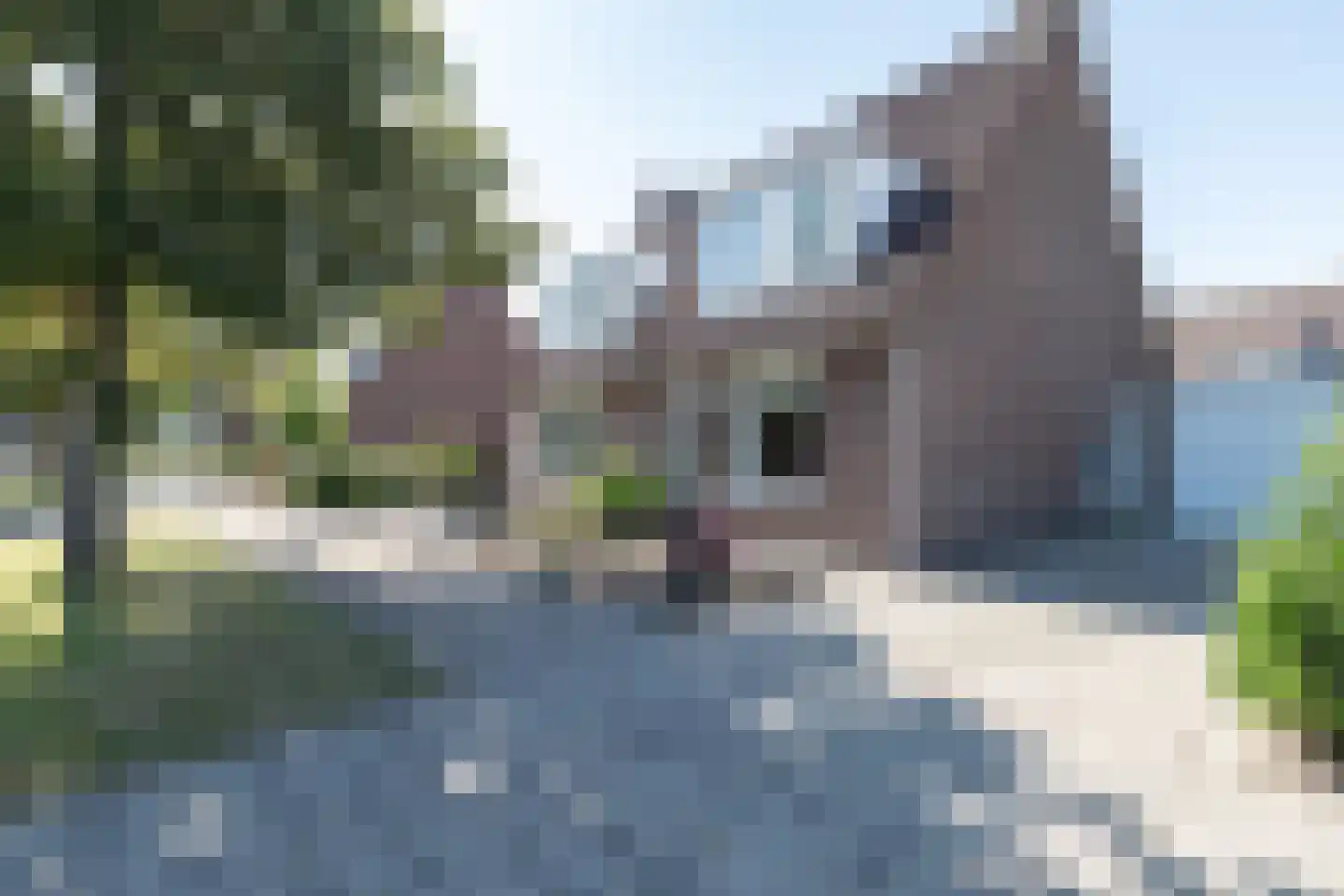 Sleedoornweg 157 Winschoten thumbnail 50