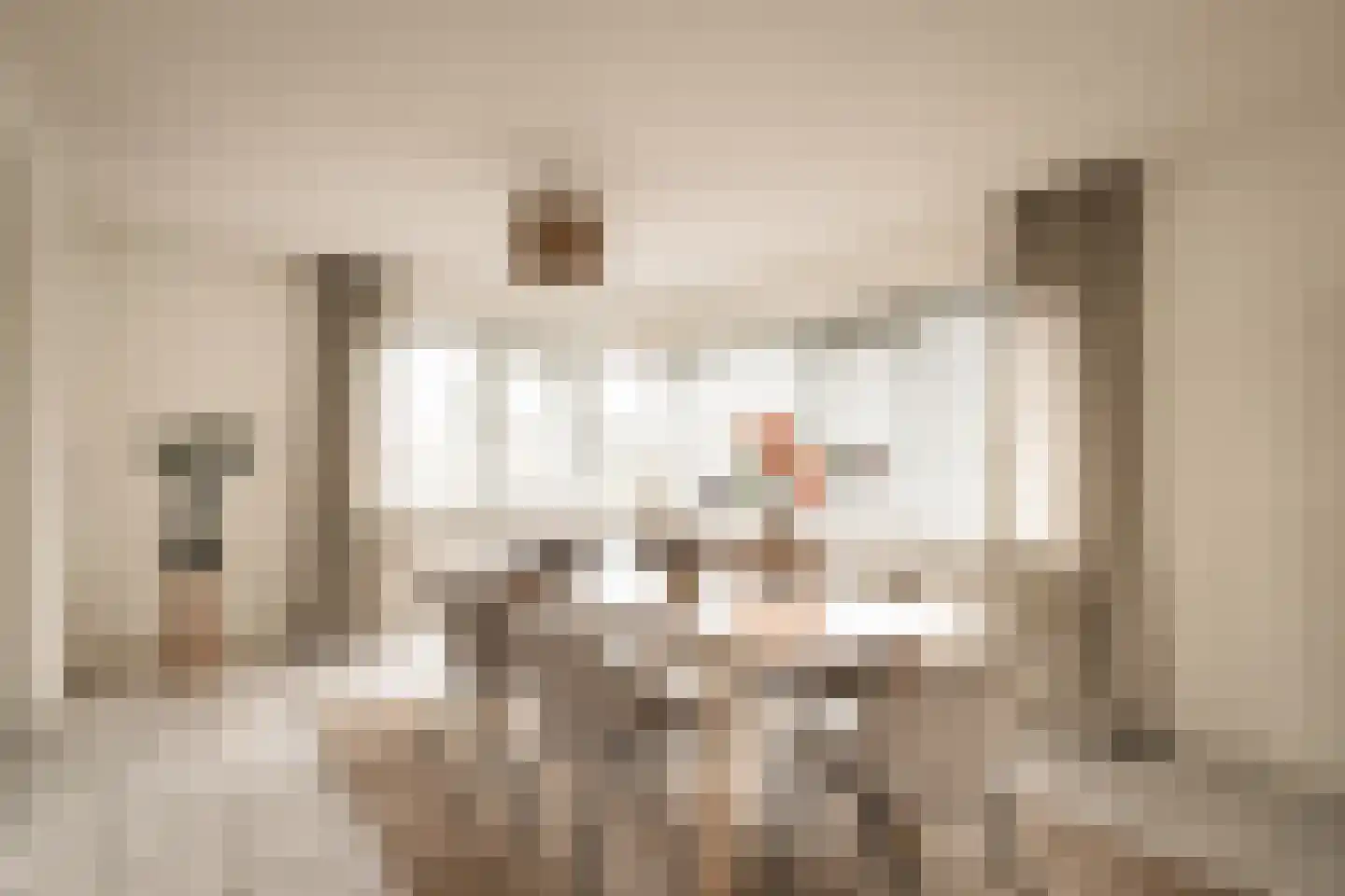 Sleedoornweg 2 Haarlem thumbnail 13