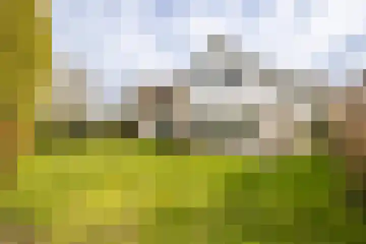 Sleedoornweg 2 Haarlem thumbnail 19