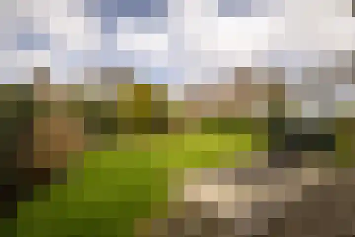 Sleedoornweg 2 Haarlem thumbnail 21