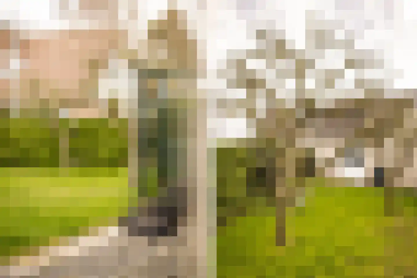 Sleedoornweg 2 Haarlem thumbnail 22