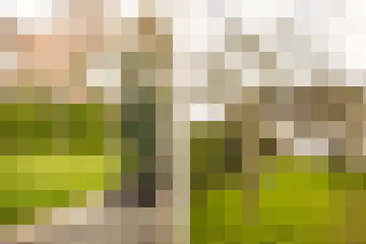 Sleedoornweg 2 Haarlem thumbnail 22