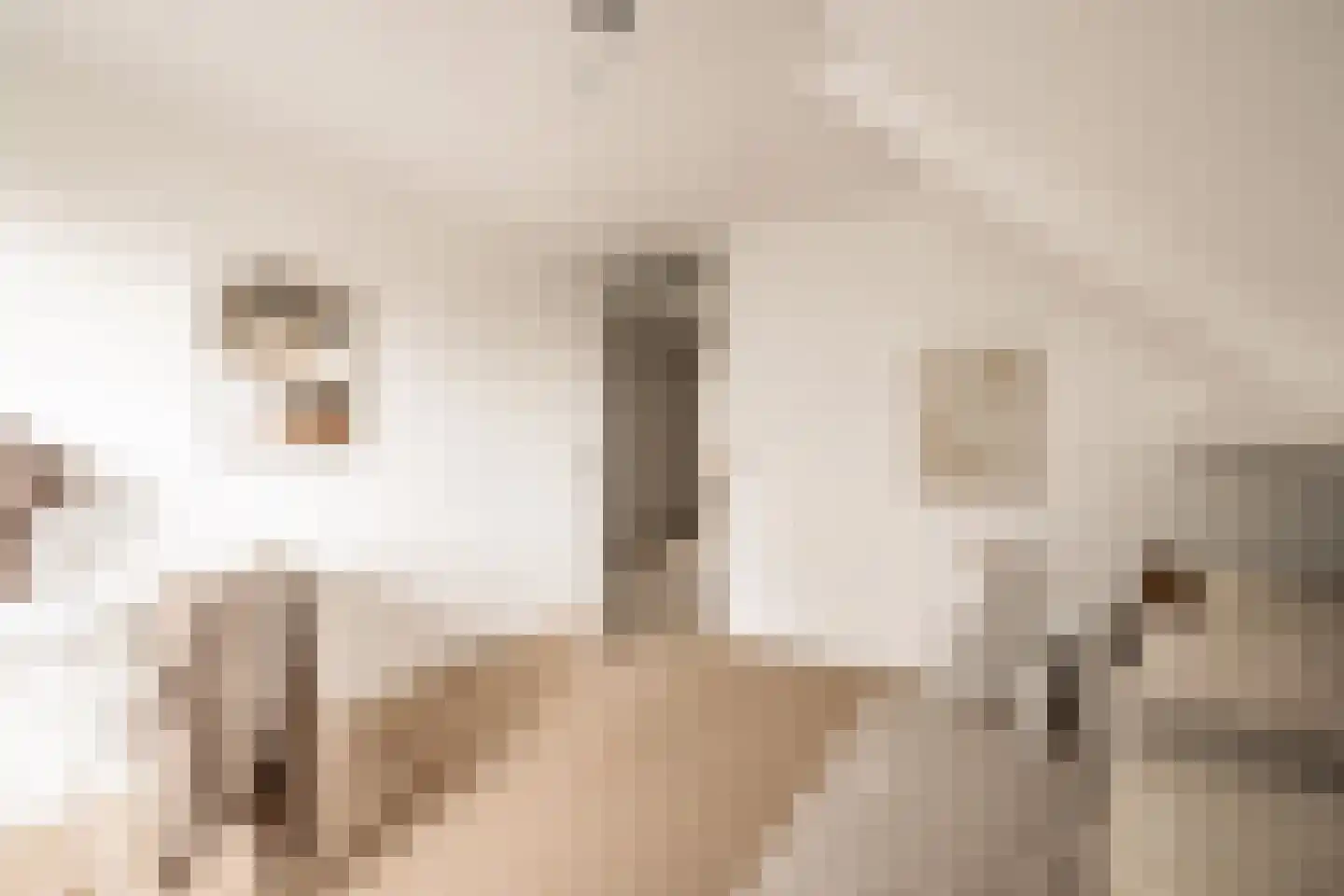 Sleedoornweg 2 Haarlem thumbnail 27