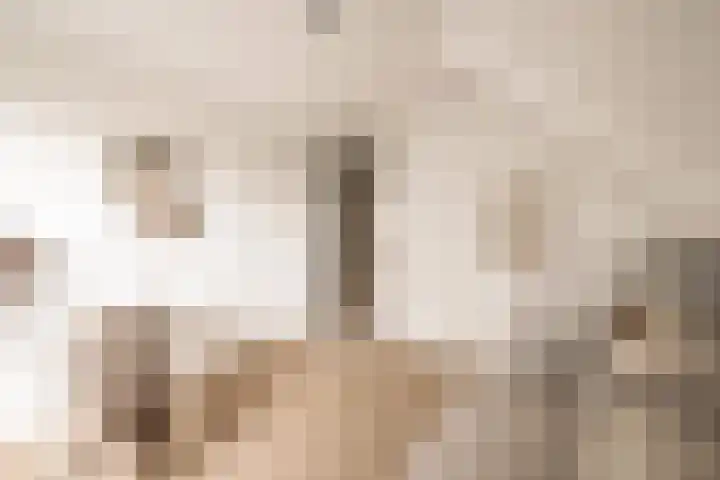 Sleedoornweg 2 Haarlem thumbnail 27