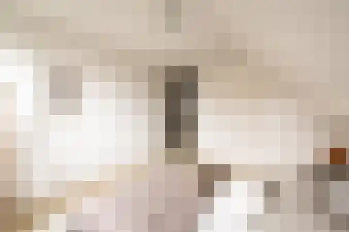 Sleedoornweg 2 Haarlem thumbnail 37