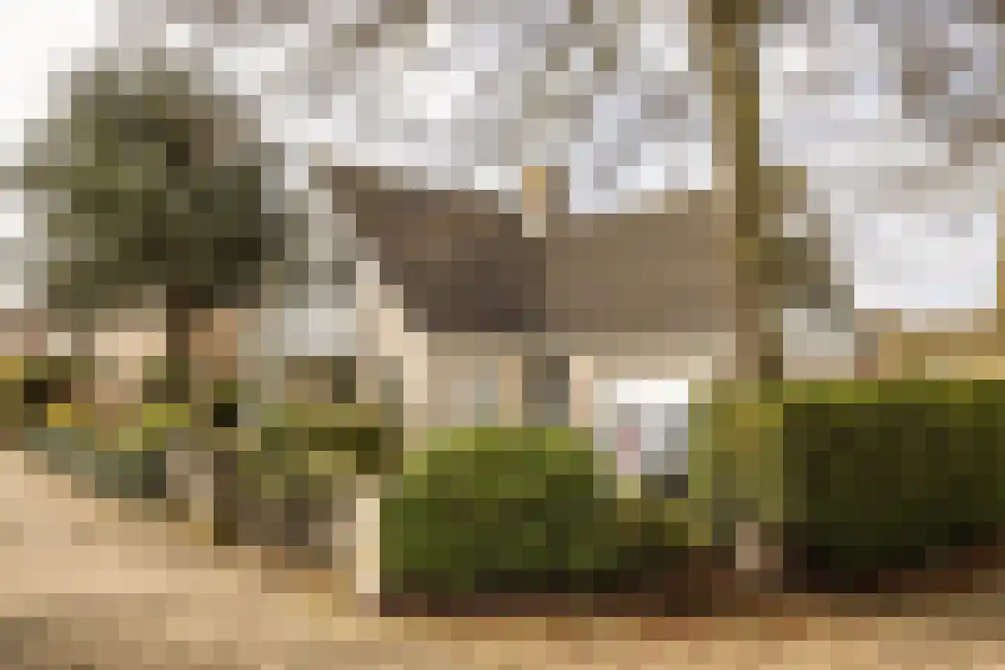 Sleedoornweg 2 Haarlem thumbnail 47