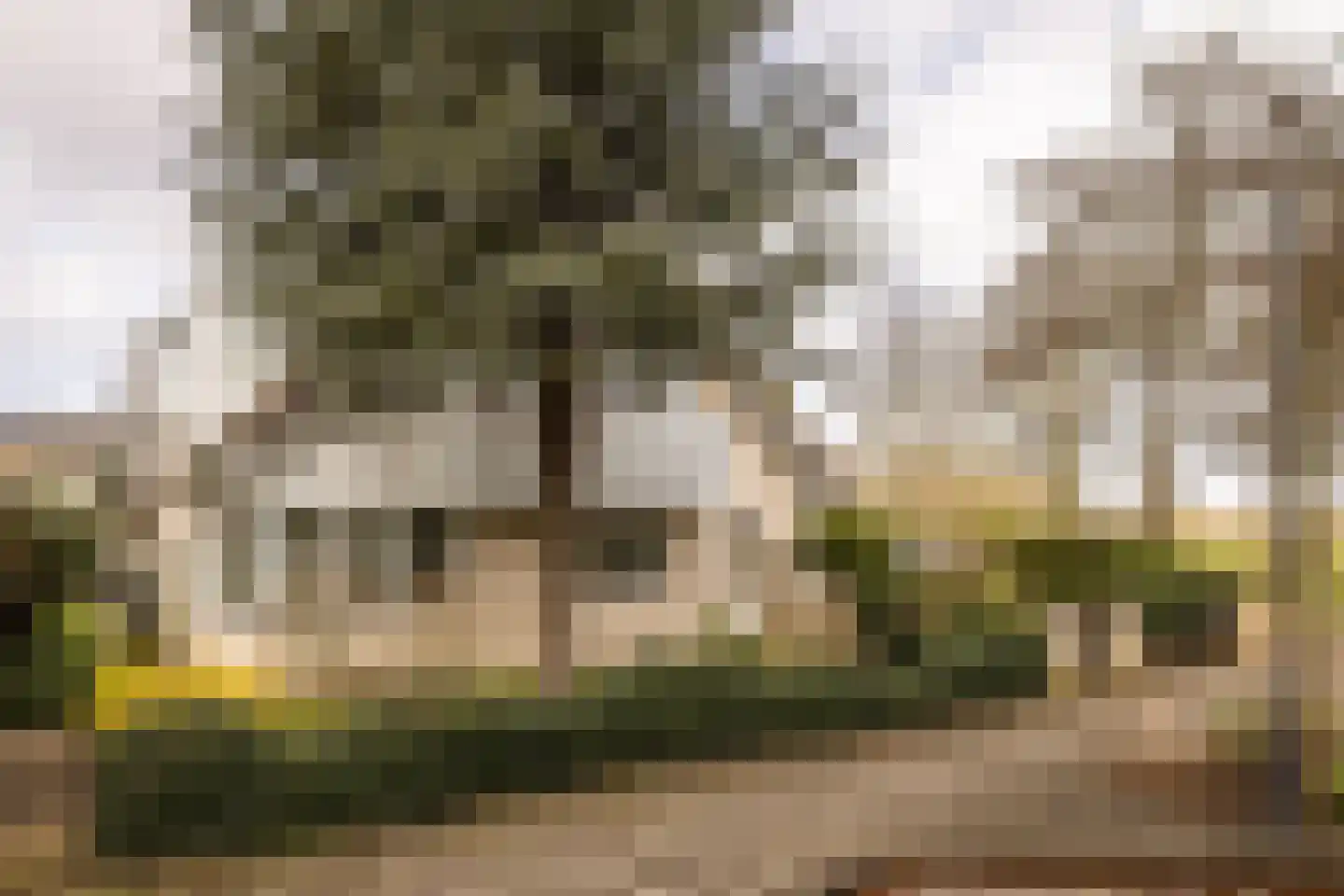 Sleedoornweg 2 Haarlem thumbnail 48