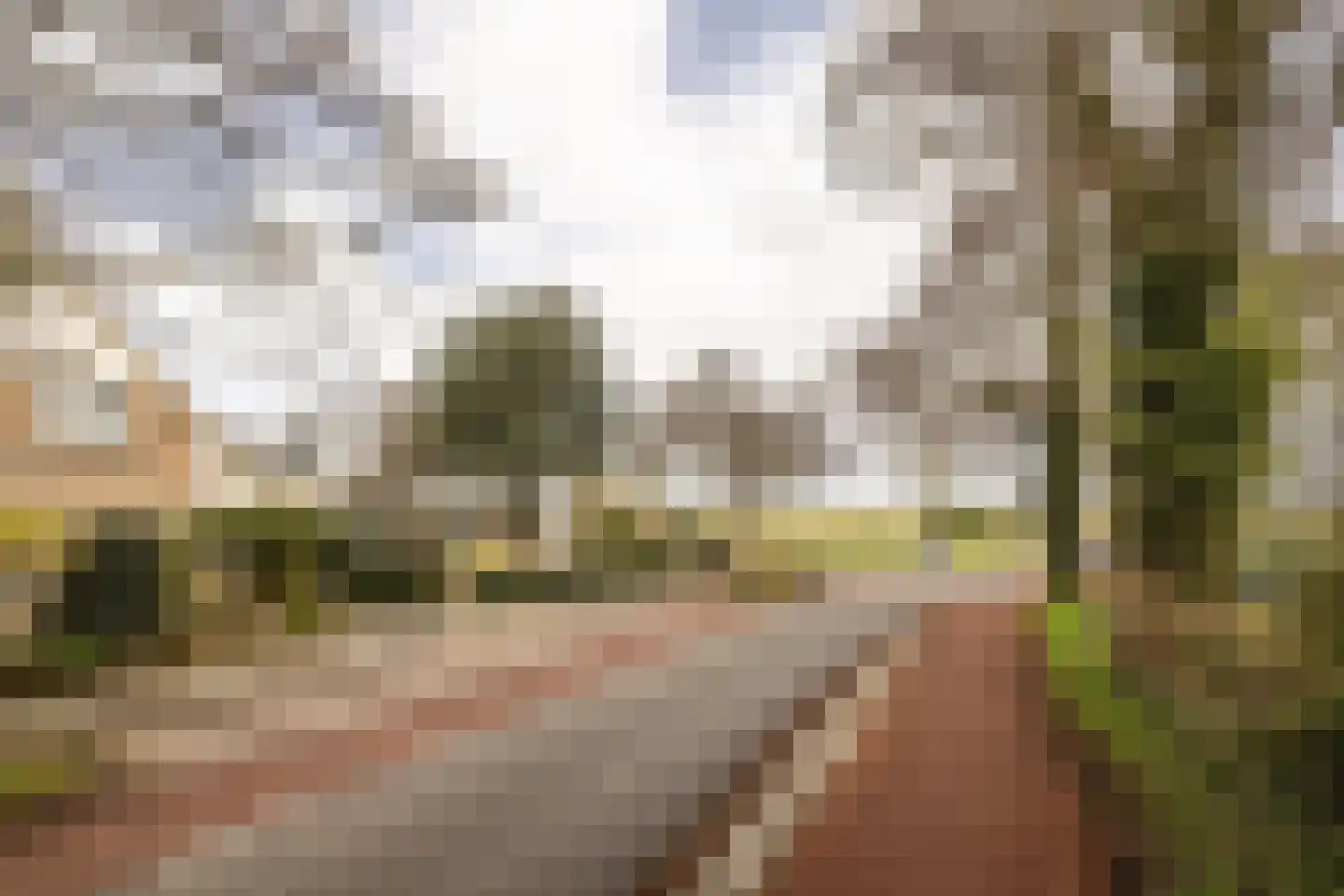 Sleedoornweg 2 Haarlem thumbnail 49